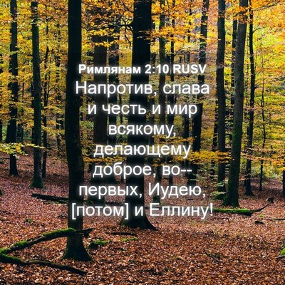 Picture 04 - Римлянам 2:10 RUSV - Напротив, слава и честь и - Bible Verse Picture