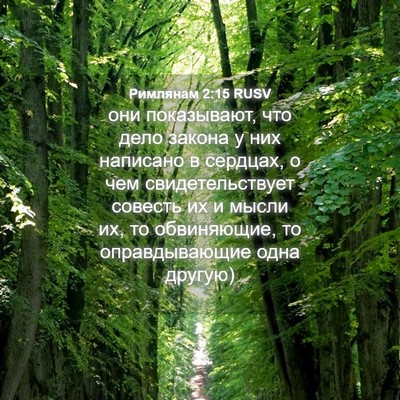 Picture 04 - Римлянам 2:15 RUSV - они показывают, что дело - Bible Verse Picture