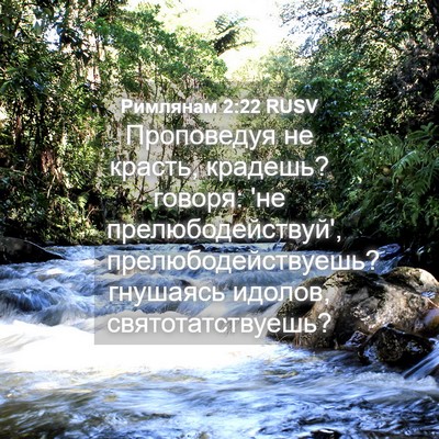 Picture 04 - Римлянам 2:22 RUSV - Проповедуя не красть, - Bible Verse Picture