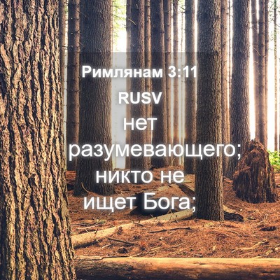 Picture 04 - Римлянам 3:11 RUSV - нет разумевающего; никто - Bible Verse Picture