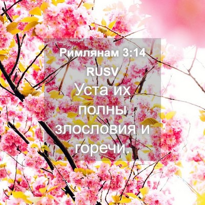 Picture 04 - Римлянам 3:14 RUSV - Уста их полны злословия и - Bible Verse Picture