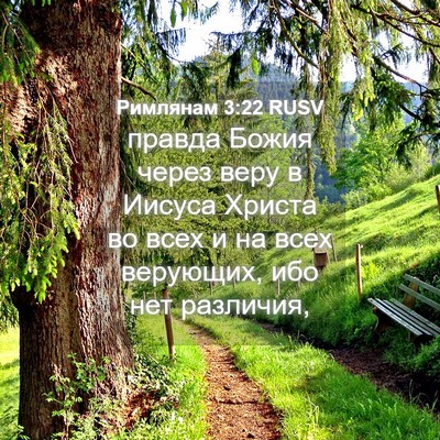 Picture 04 - Римлянам 3:22 RUSV - правда Божия через веру в - Bible Verse Picture