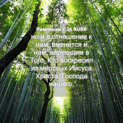Picture 04 - Римлянам 4:24 RUSV - но и в отношении к нам; - Bible Verse Picture