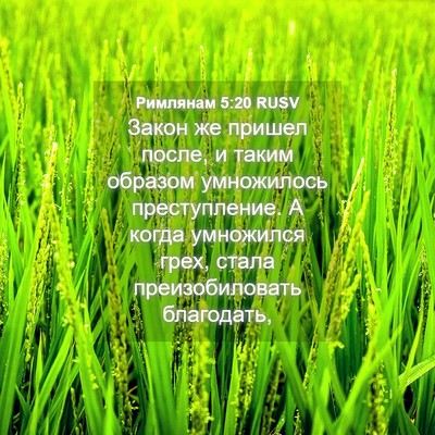 Picture 04 - Римлянам 5:20 RUSV - Закон же пришел после, и - Bible Verse Picture
