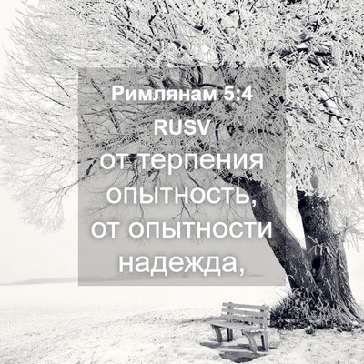 Picture 04 - Римлянам 5:4 RUSV - от терпения опытность, от - Bible Verse Picture