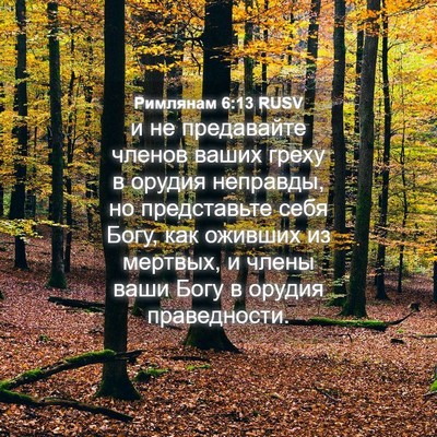 Picture 04 - Римлянам 6:13 RUSV - и не предавайте членов - Bible Verse Picture