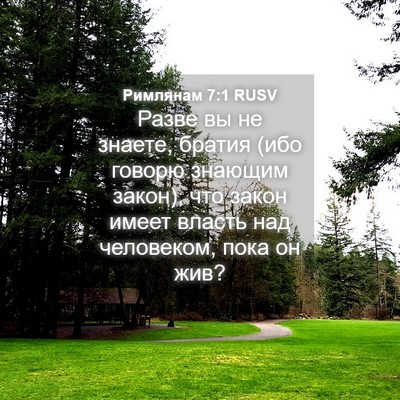 Picture 04 - Римлянам 7:1 RUSV - Разве вы не знаете, братия - Bible Verse Picture