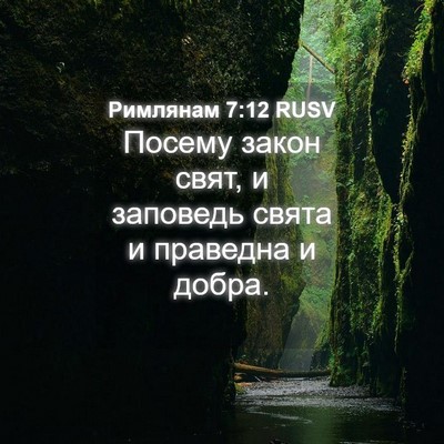 Picture 04 - Римлянам 7:12 RUSV - Посему закон свят, и - Bible Verse Picture
