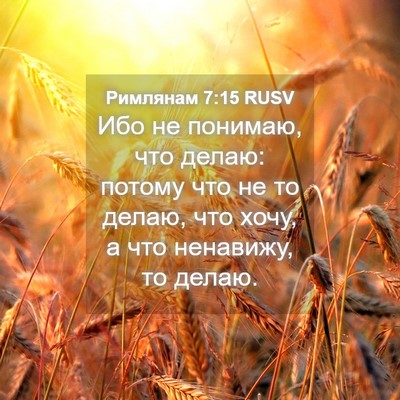 Picture 04 - Римлянам 7:15 RUSV - Ибо не понимаю, что делаю: - Bible Verse Picture