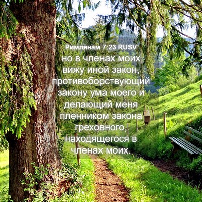Picture 04 - Римлянам 7:23 RUSV - но в членах моих вижу иной - Bible Verse Picture