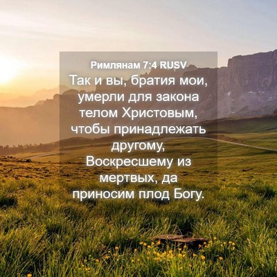Picture 04 - Римлянам 7:4 RUSV - Так и вы, братия мои, умерли - Bible Verse Picture