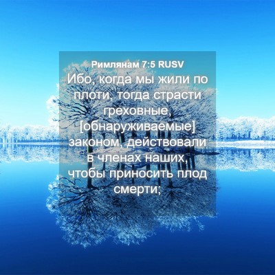 Picture 04 - Римлянам 7:5 RUSV - Ибо, когда мы жили по плоти, - Bible Verse Picture