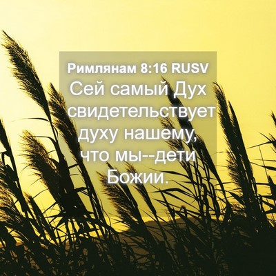 Picture 04 - Римлянам 8:16 RUSV - Сей самый Дух - Bible Verse Picture