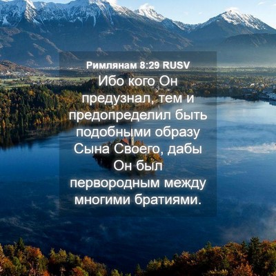 Picture 04 - Римлянам 8:29 RUSV - Ибо кого Он предузнал, тем - Bible Verse Picture