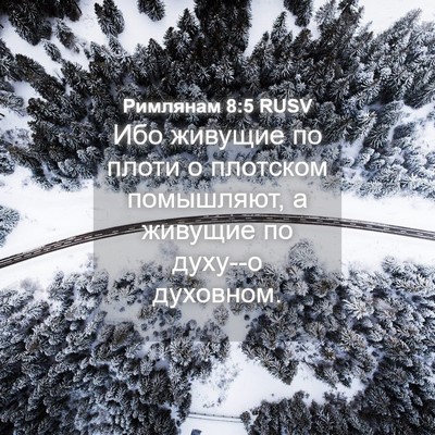 Picture 04 - Римлянам 8:5 RUSV - Ибо живущие по плоти о - Bible Verse Picture