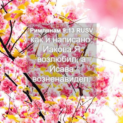 Picture 04 - Римлянам 9:13 RUSV - как и написано: Иакова Я - Bible Verse Picture