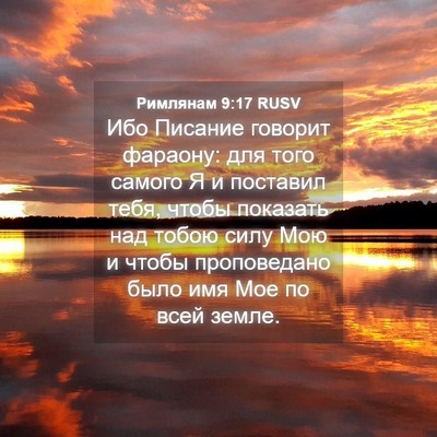 Picture 04 - Римлянам 9:17 RUSV - Ибо Писание говорит - Bible Verse Picture