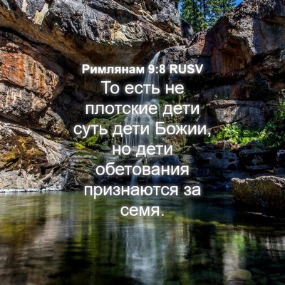 Picture 04 - Римлянам 9:8 RUSV - То есть не плотские дети - Bible Verse Picture
