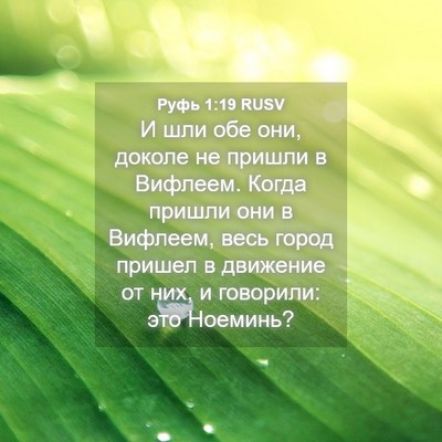 Picture 04 - Руфь 1:19 RUSV - И шли обе они, доколе не - Bible Verse Picture