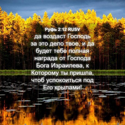 Picture 04 - Руфь 2:12 RUSV - да воздаст Господь за это - Bible Verse Picture