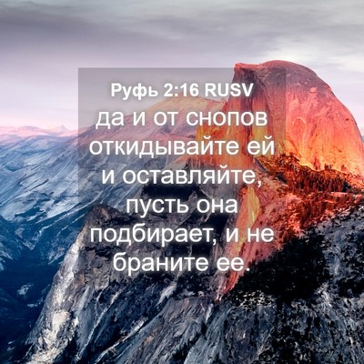 Picture 04 - Руфь 2:16 RUSV - да и от снопов откидывайте - Bible Verse Picture