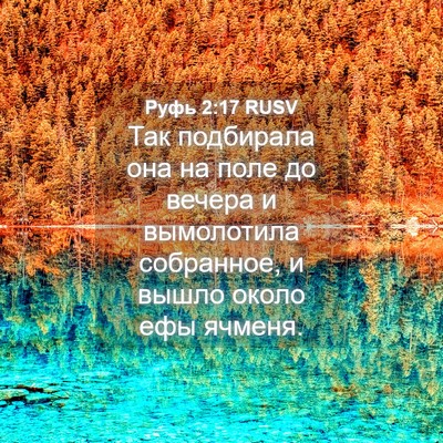 Picture 04 - Руфь 2:17 RUSV - Так подбирала она на поле - Bible Verse Picture