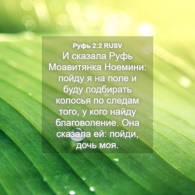 Picture 04 - Руфь 2:2 RUSV - И сказала Руфь Моавитянка - Bible Verse Picture