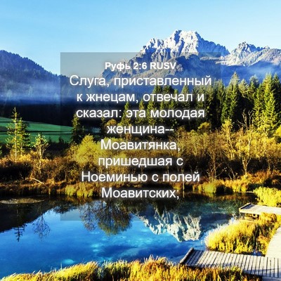 Picture 04 - Руфь 2:6 RUSV - Слуга, приставленный к - Bible Verse Picture
