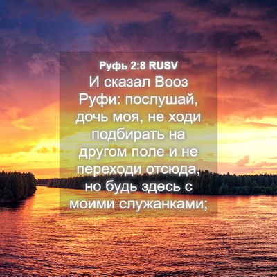 Picture 04 - Руфь 2:8 RUSV - И сказал Вооз Руфи: - Bible Verse Picture