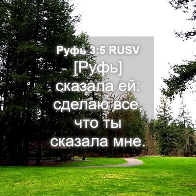 Picture 04 - Руфь 3:5 RUSV - [Руфь] сказала ей: сделаю - Bible Verse Picture