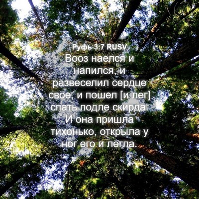 Picture 04 - Руфь 3:7 RUSV - Вооз наелся и напился, и - Bible Verse Picture