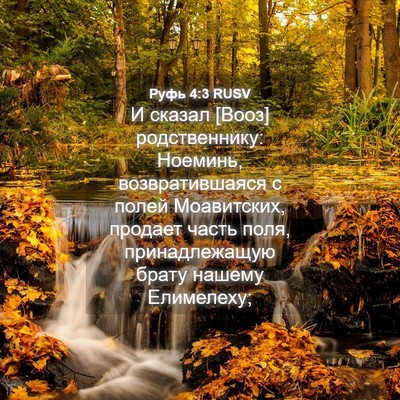 Picture 04 - Руфь 4:3 RUSV - И сказал [Вооз] - Bible Verse Picture