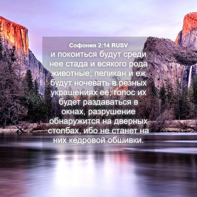 Picture 04 - Софония 2:14 RUSV - и покоиться будут среди - Bible Verse Picture