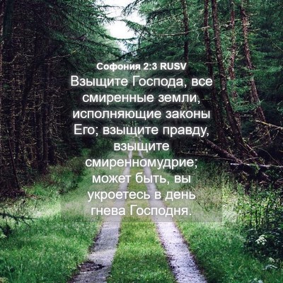Picture 04 - Софония 2:3 RUSV - Взыщите Господа, все - Bible Verse Picture