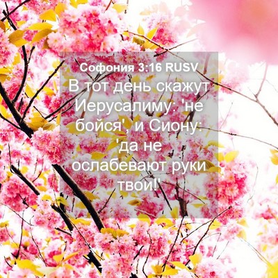 Picture 04 - Софония 3:16 RUSV - В тот день скажут - Bible Verse Picture