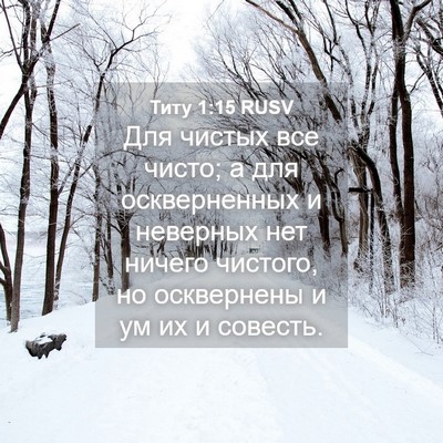 Picture 04 - Титу 1:15 RUSV - Для чистых все чисто; а для - Bible Verse Picture
