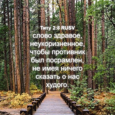 Picture 04 - Титу 2:8 RUSV - слово здравое, - Bible Verse Picture