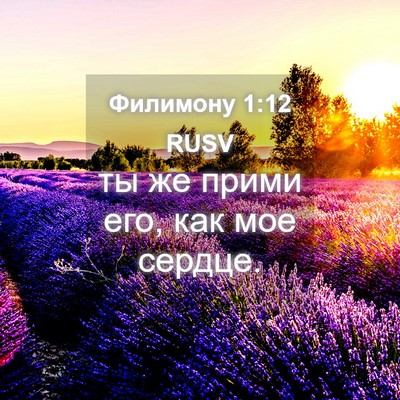 Picture 04 - Филимону 1:12 RUSV - ты же прими его, как мое - Bible Verse Picture