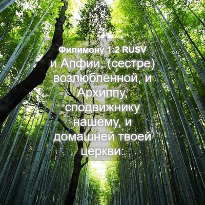 Picture 04 - Филимону 1:2 RUSV - и Апфии, (сестре) - Bible Verse Picture