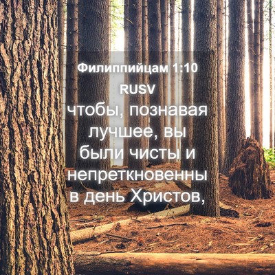 Picture 04 - Филиппийцам 1:10 RUSV - чтобы, познавая лучшее, вы - Bible Verse Picture