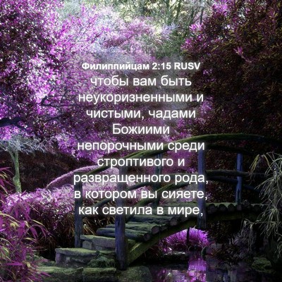 Picture 04 - Филиппийцам 2:15 RUSV - чтобы вам быть - Bible Verse Picture