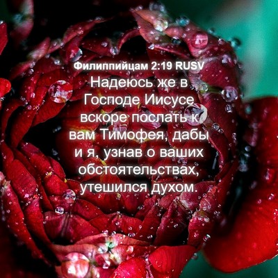 Picture 04 - Филиппийцам 2:19 RUSV - Надеюсь же в Господе - Bible Verse Picture