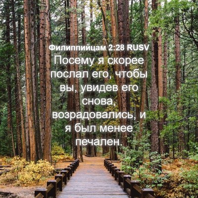 Picture 04 - Филиппийцам 2:28 RUSV - Посему я скорее послал его, - Bible Verse Picture