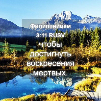 Picture 04 - Филиппийцам 3:11 RUSV - чтобы достигнуть - Bible Verse Picture