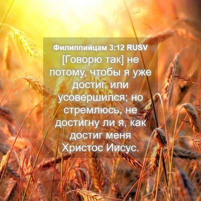 Picture 04 - Филиппийцам 3:12 RUSV - [Говорю так] не потому, - Bible Verse Picture