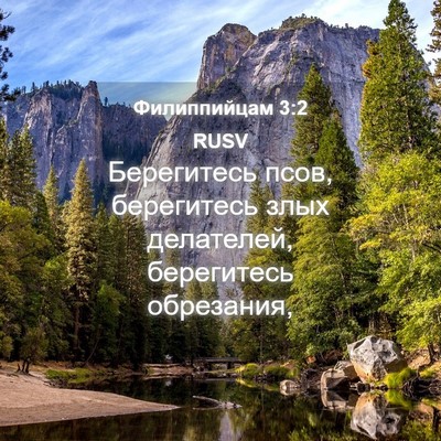 Picture 04 - Филиппийцам 3:2 RUSV - Берегитесь псов, - Bible Verse Picture
