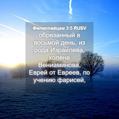 Picture 04 - Филиппийцам 3:5 RUSV - обрезанный в восьмой день, - Bible Verse Picture