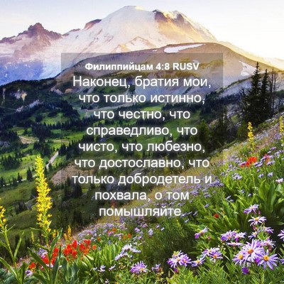 Picture 04 - Филиппийцам 4:8 RUSV - Наконец, братия мои, что - Bible Verse Picture