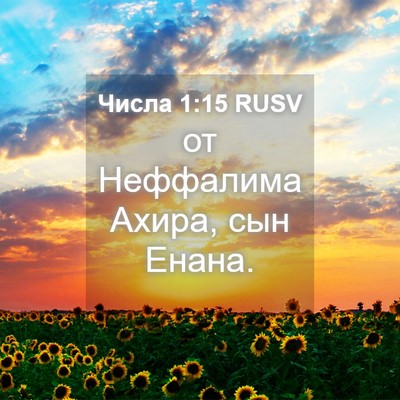 Picture 04 - Числа 1:15 RUSV - от Неффалима Ахира, сын - Bible Verse Picture