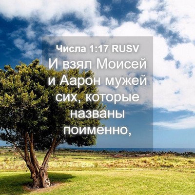 Picture 04 - Числа 1:17 RUSV - И взял Моисей и Аарон мужей - Bible Verse Picture